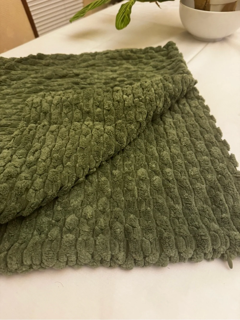 Plush Textured Green Throw Pillow - Set of 2